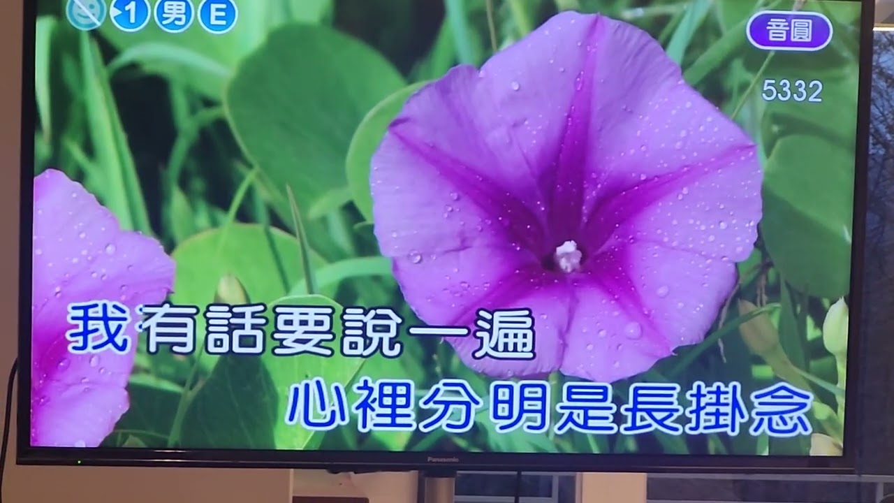 ㄧ年又一年