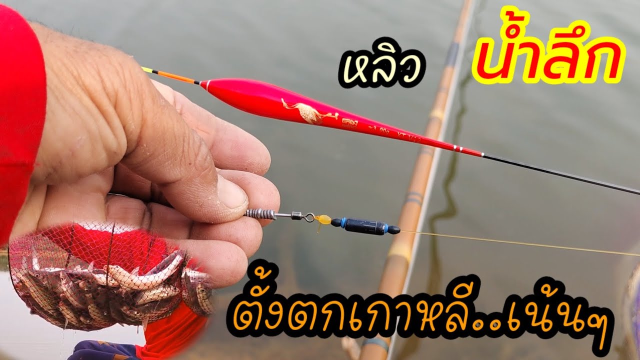 วิธีตกชิงหลิว สไตล์เกาหลี ง่ายๆแต่ได้ตัว ตั้งตกยังไง? ไปดูกัน !?