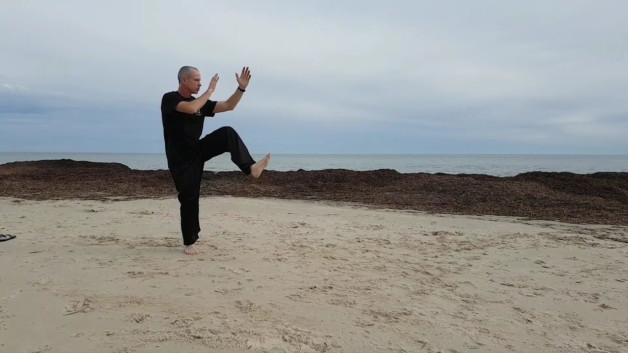 Tai Chi in Adelaide - Yang 112 Form, Section 1