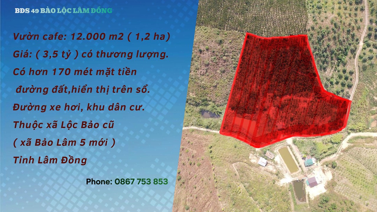 ( Pass 19 ) Vườn cafe 1,2 ha ( 12.000m2 ). Thuộc xã Lộc Bảo cũ ( Bảo Lâm 5 mới ) Tỉnh Lâm Đồng.