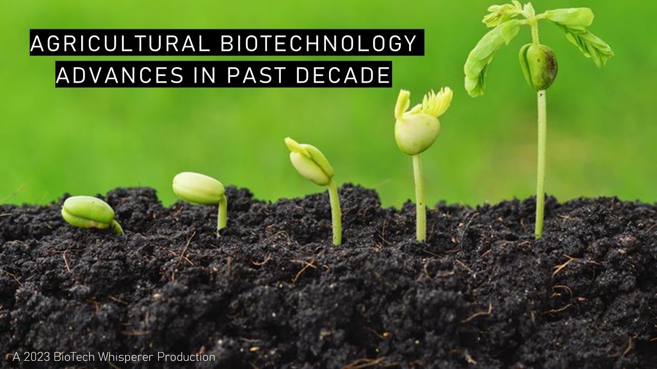 Learn All About Recent Plant Biotechnology Advances in 5 Minutes