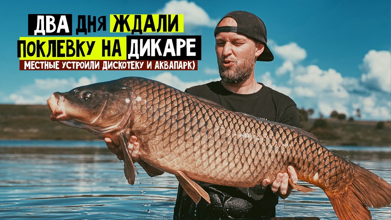 ДВА дня ЖДАЛИ поклевку на ДИКАРЕ и поймали КАРПА 13 кг 😮 ! ТЕСТ НОВОЙ ПРИКОРМКИ! Рыбалка с ночевкой