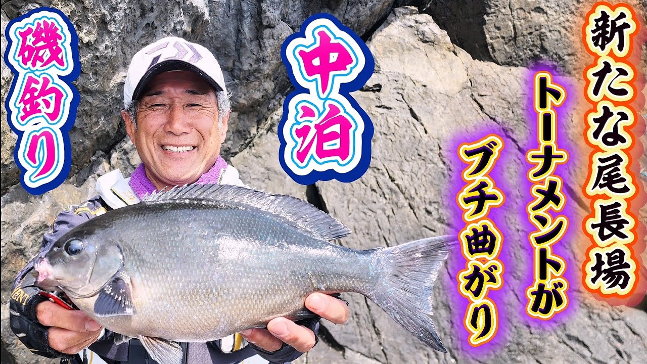 【中泊】磯釣り　寒グレ終盤　ブチブチにやられた～～(涙)オナガチャレンジ❓湧きグレチャレンジ❓(笑)