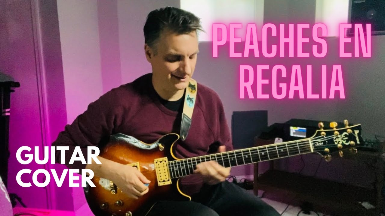 Zappa - Peaches En Regalia - Guitar Cover