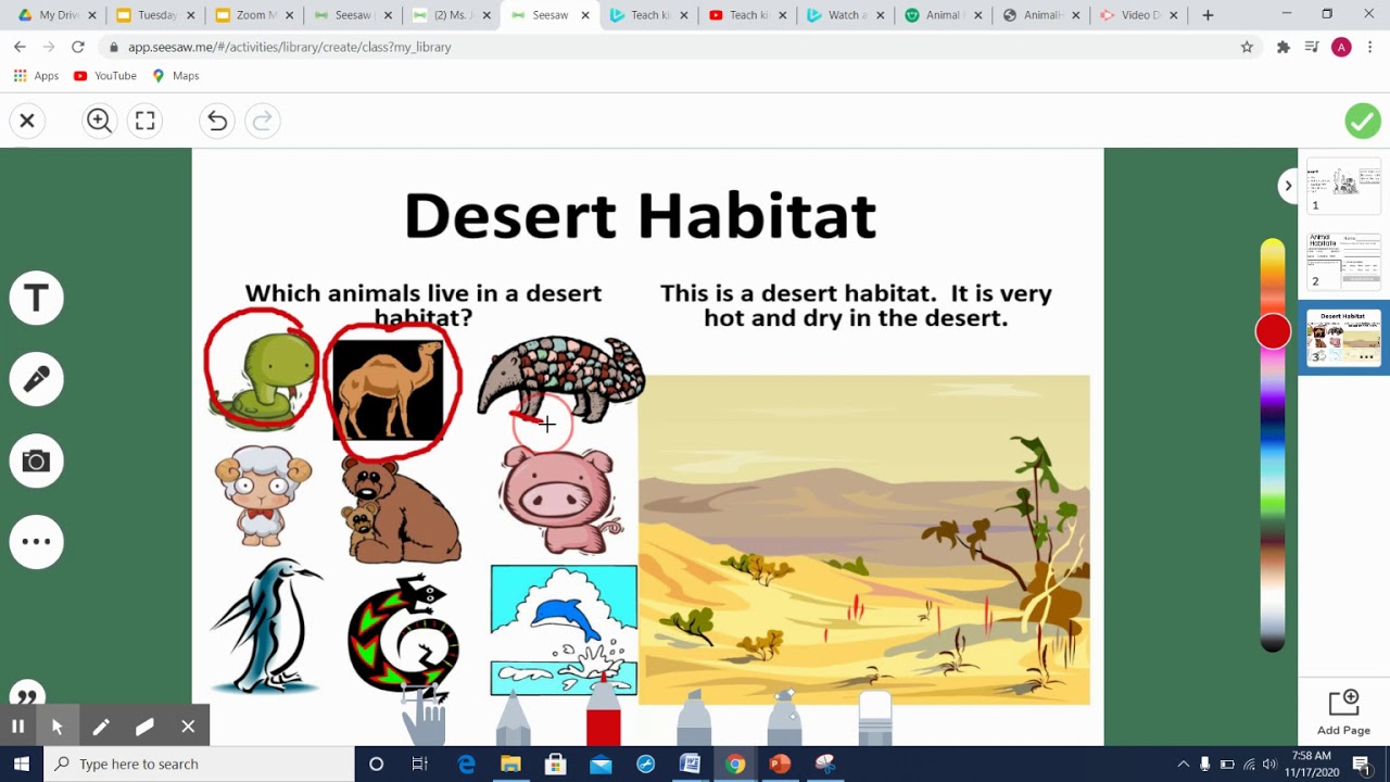 Desert Habitat Kinder