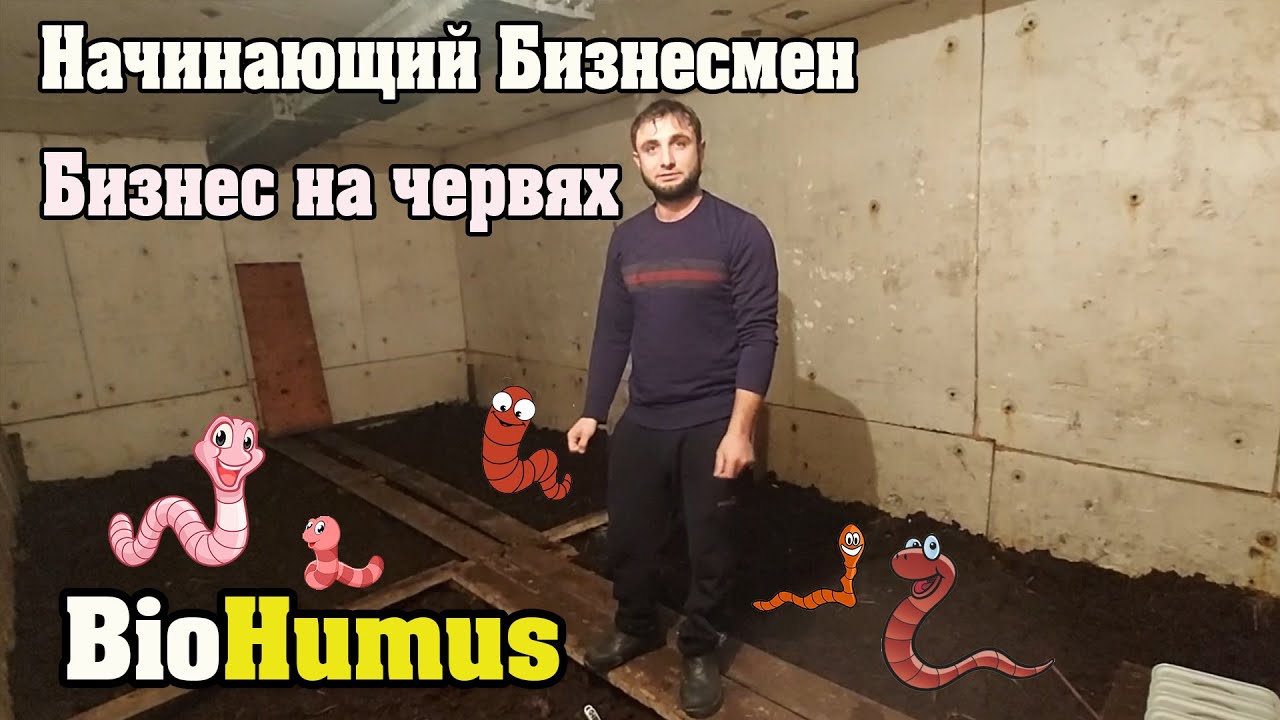 Начинающий Бизнесмен//Бизнес на червях//BioHumus