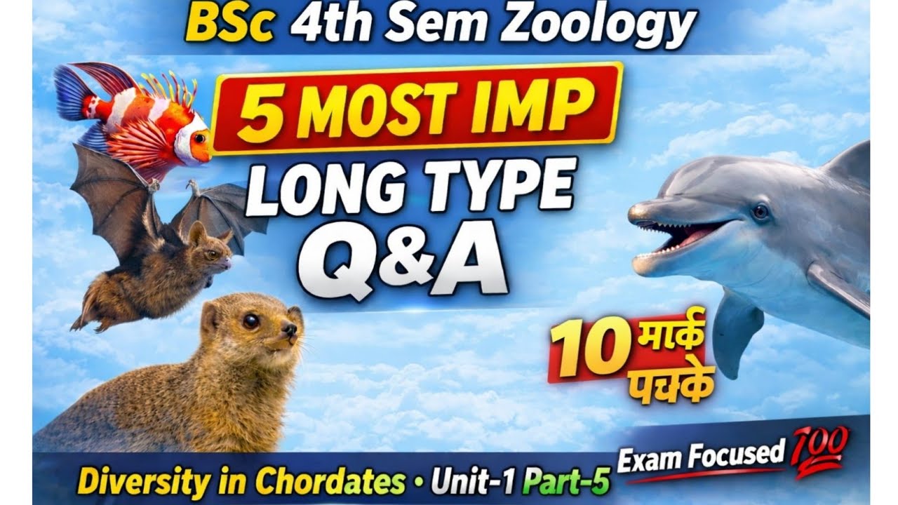 Chordata – 5 Most IMP Long Q&A  | BSc 4th Sem Zoology | 10 Marks Confirm 💯