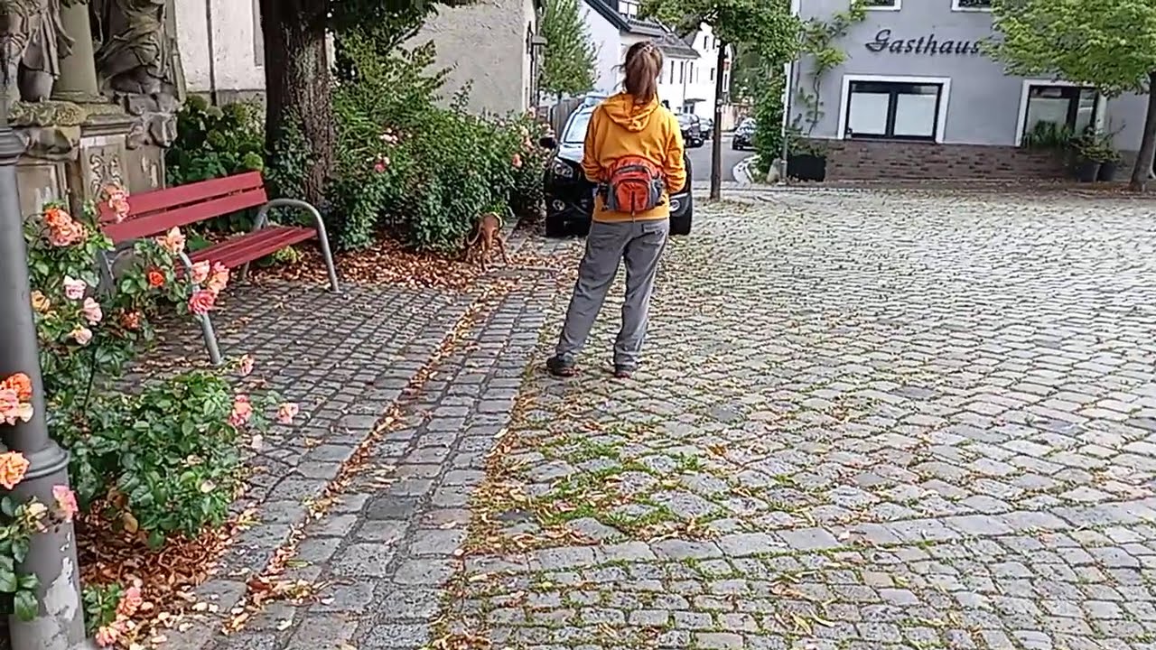 Mantrailing - Trilogie #1