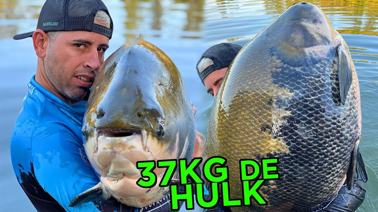UM SONHO! RECORDE DE TAMBAQUI 37KG / VERDÃO NO CÓRREGO DAS ANTAS
