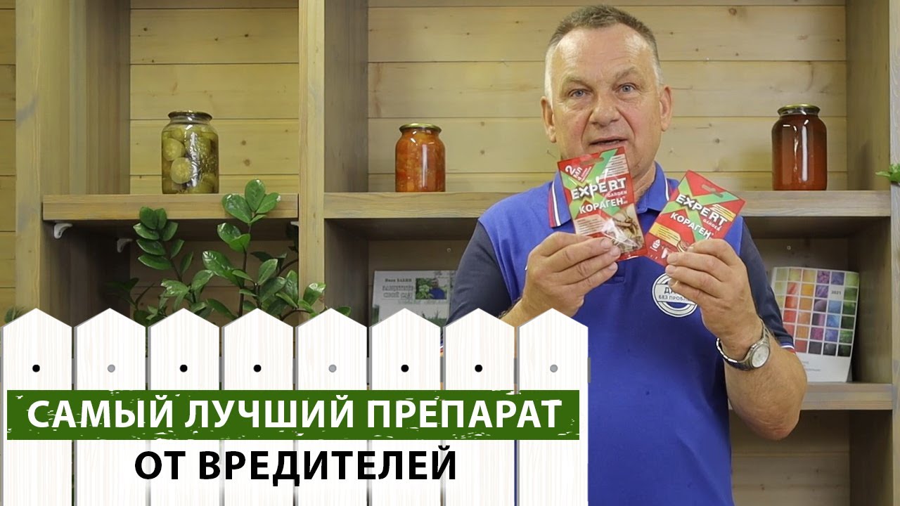 Уникальный препарат ХХI века для обработки сада от вредителей | Чем обработать плодовые?