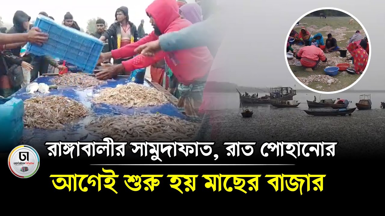 রাঙ্গাবালীর সামুদাফাত, রাত পোহানোর আগেই শুরু হয় মাছের বাজার | Rangabali Fish Market | Dhaka Times |