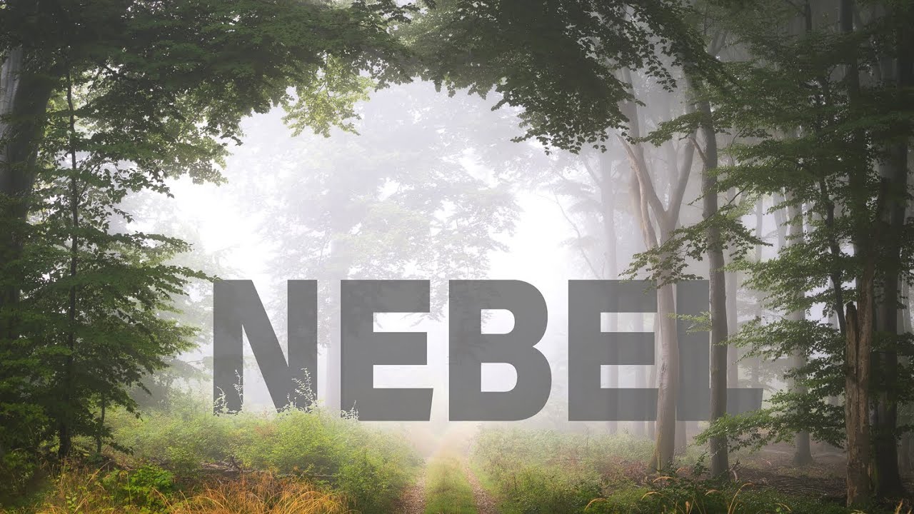 Endlich wieder Nebel fotografieren + Bildbearbeitung | Landschaftsfotografie