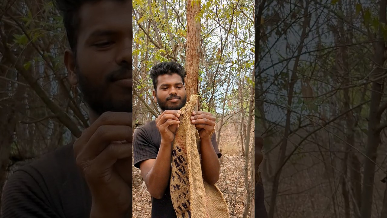 Crafting an UMBRELLA from Nature's Canopy #short #camping #survival #outdoors #lifehacks