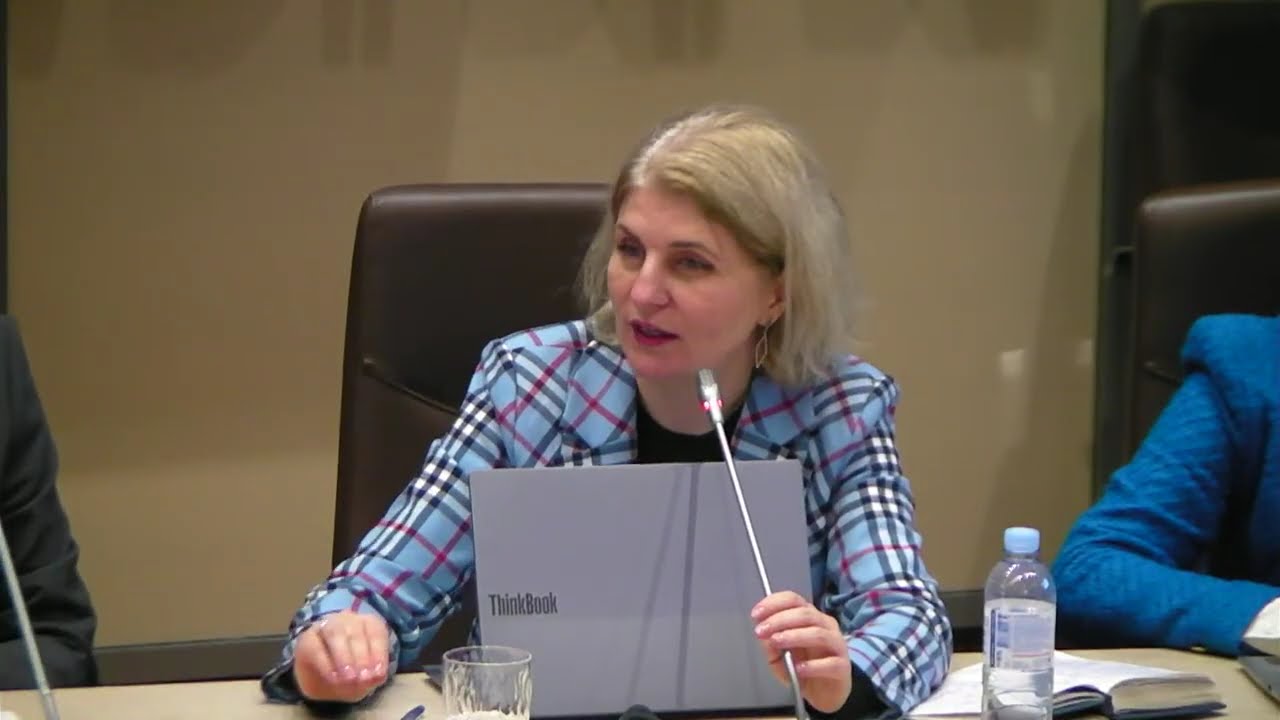 Ședința Comisiei pentru integrare europeană din 17 februarie 2026