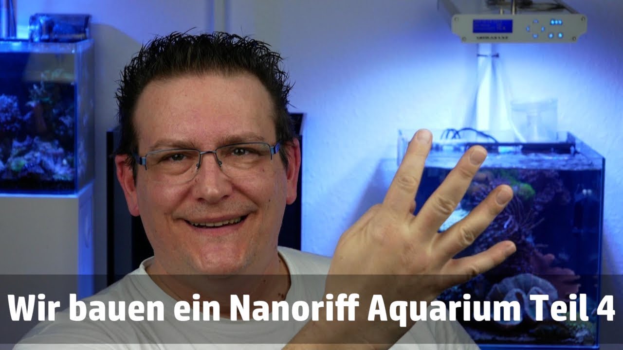 Wir bauen ein Nanoriff Aquarium Teil 4 - Bakterienblüte ? -