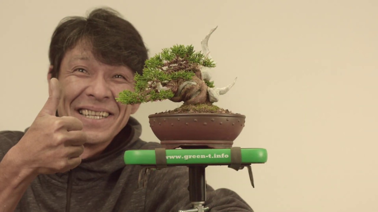 Koji Hiramatsu Juniper Timelaps