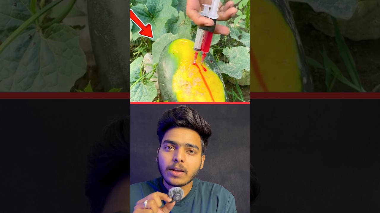 Mumbai Watermelon Case..!!