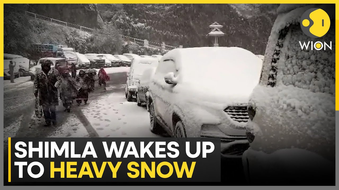 Himachal Snowfall: Heaps Of Snow Pile Over Shimla's Landscape | WION News