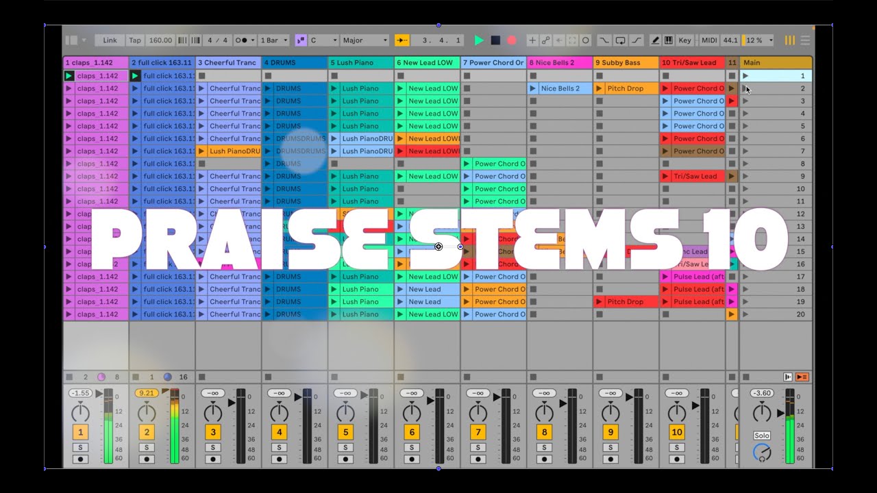 PRAISE STEMS 10 ( STEMS AVAILABLE )