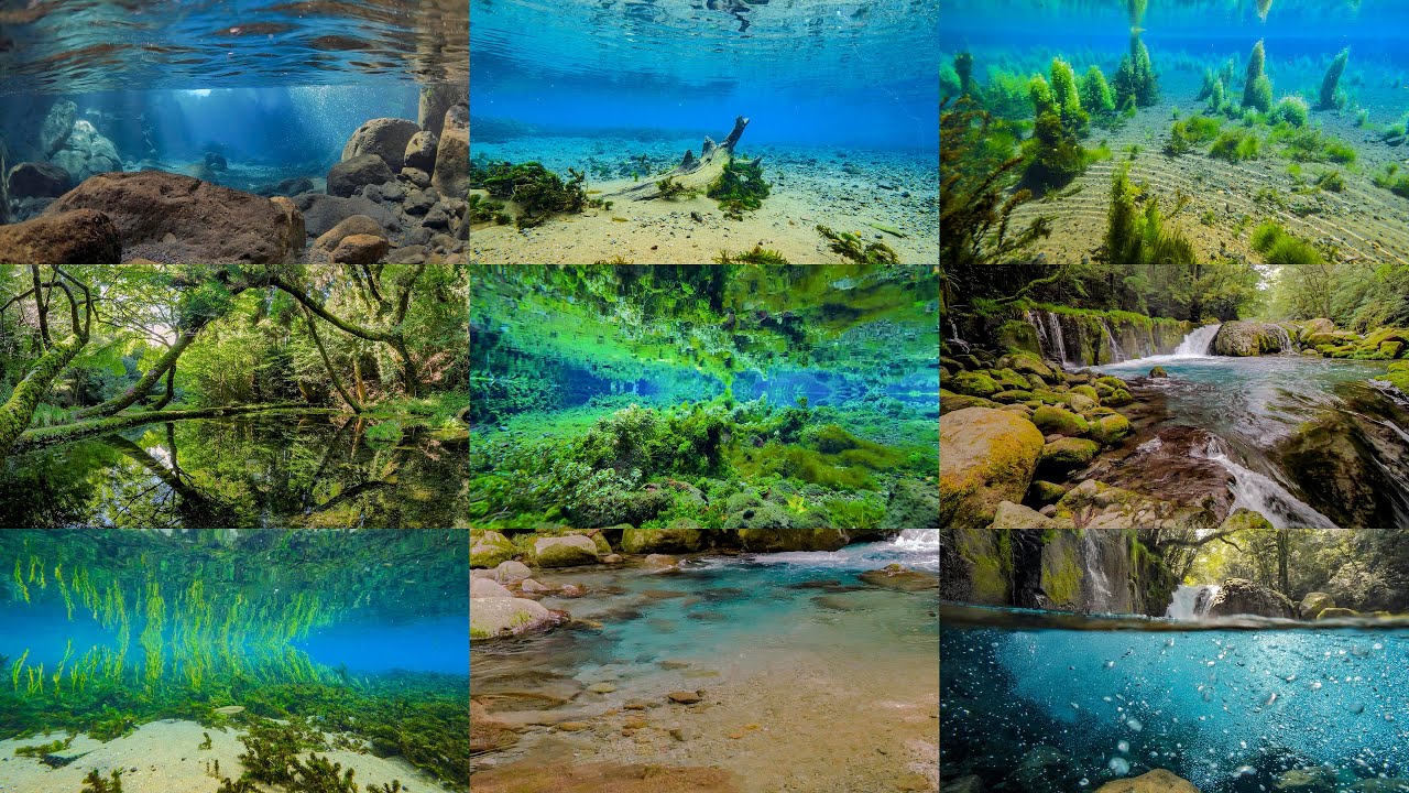 [4K] 水の都 熊本。阿蘇の透明度抜群のクリスタルブルーの湧水群 Clear stream with high transparency in KUMAMOTO,JAPAN