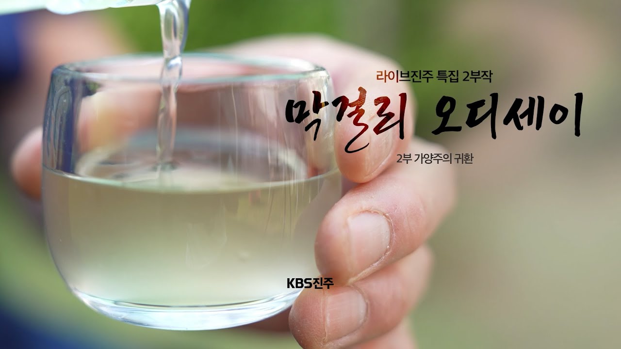 [라이브진주 특집 2부작] 막걸리 오디세이 | 2편 가양주의 귀환