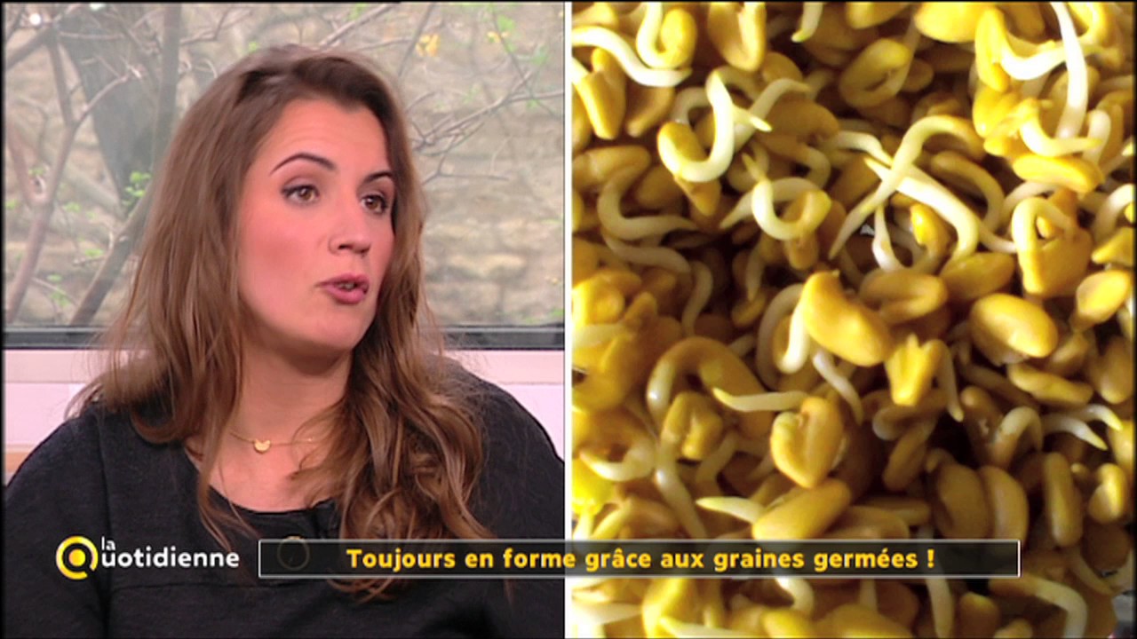 Toujours en forme grâce aux graines germées ! - La Quotidienne