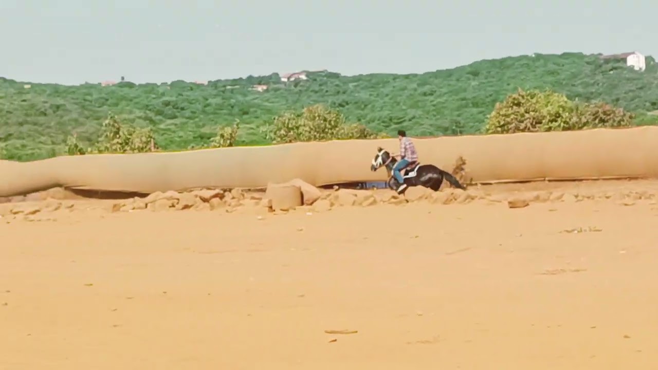 Horse Riding 🏇🏇🏇, Venna Lake, Mahabaleshwar 🍓