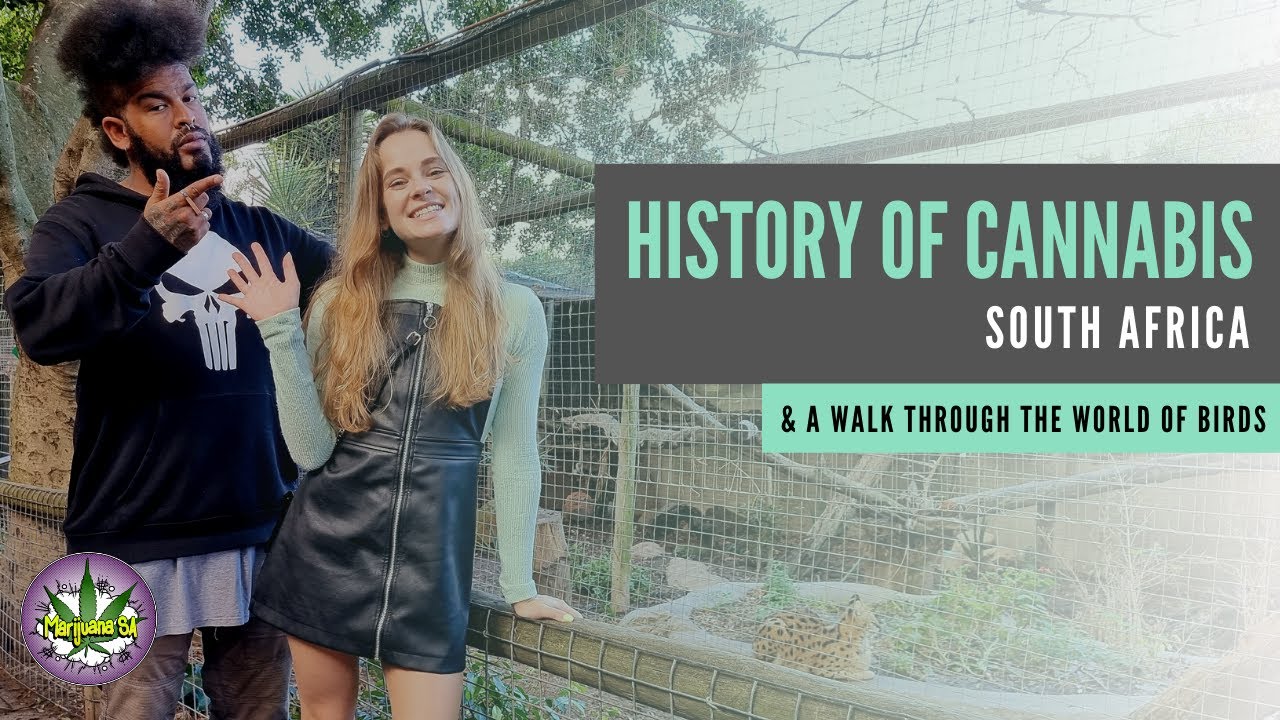 History Of Cannabis in South Africa!
