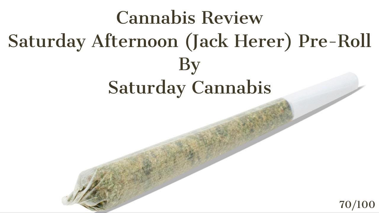 Cannabis Review | Saturday Afternoon Pre-Roll (Jack Herer)  by Saturday Cannabis