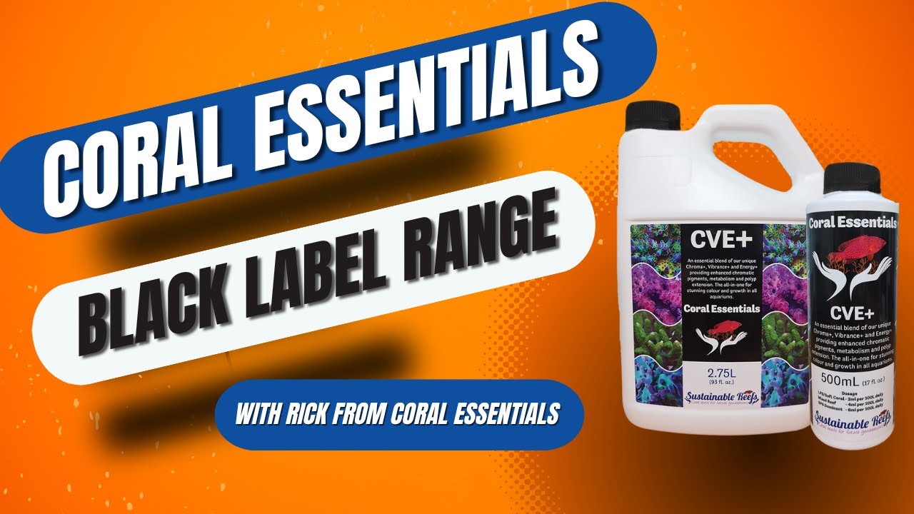 Exploring the Coral Essentials Product Range Episode 2