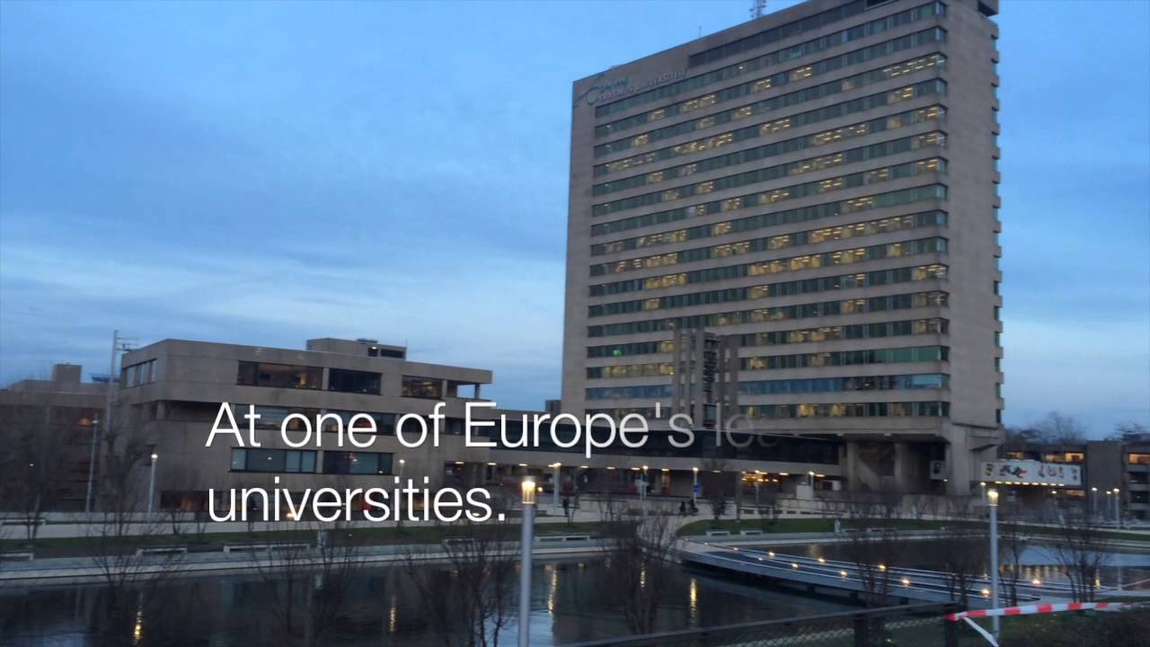 Join IBCoM!