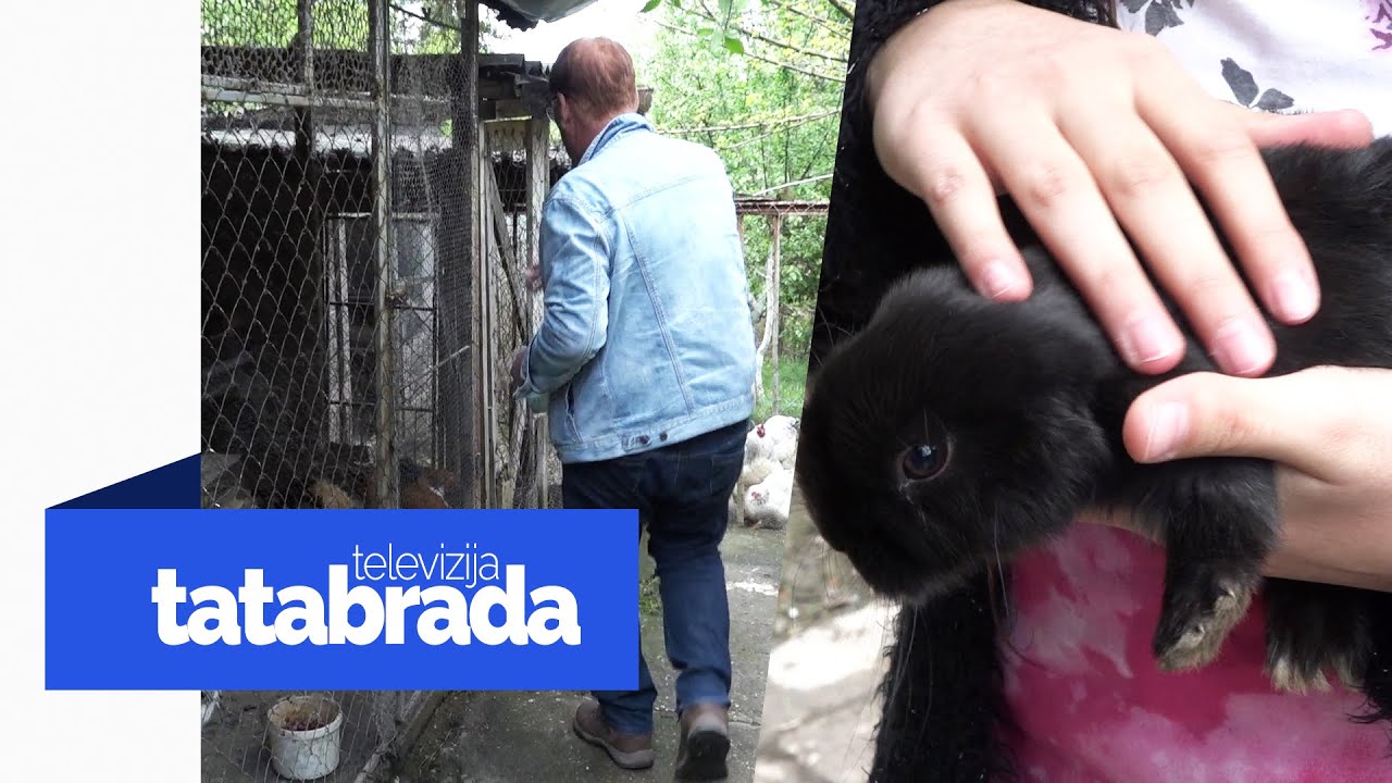 U dvorištu porodične kuće ima mali zološki vrt