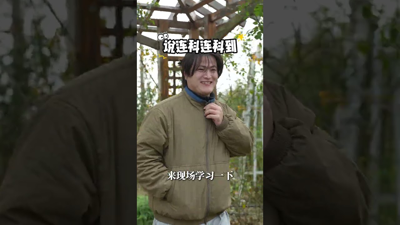 【天狼说月季】藤本月季冬剪，附花墙造型详细步骤