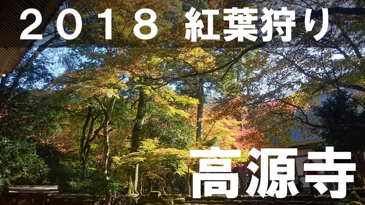 2018年 11月 紅葉狩り 兵庫県 丹波市 高源寺