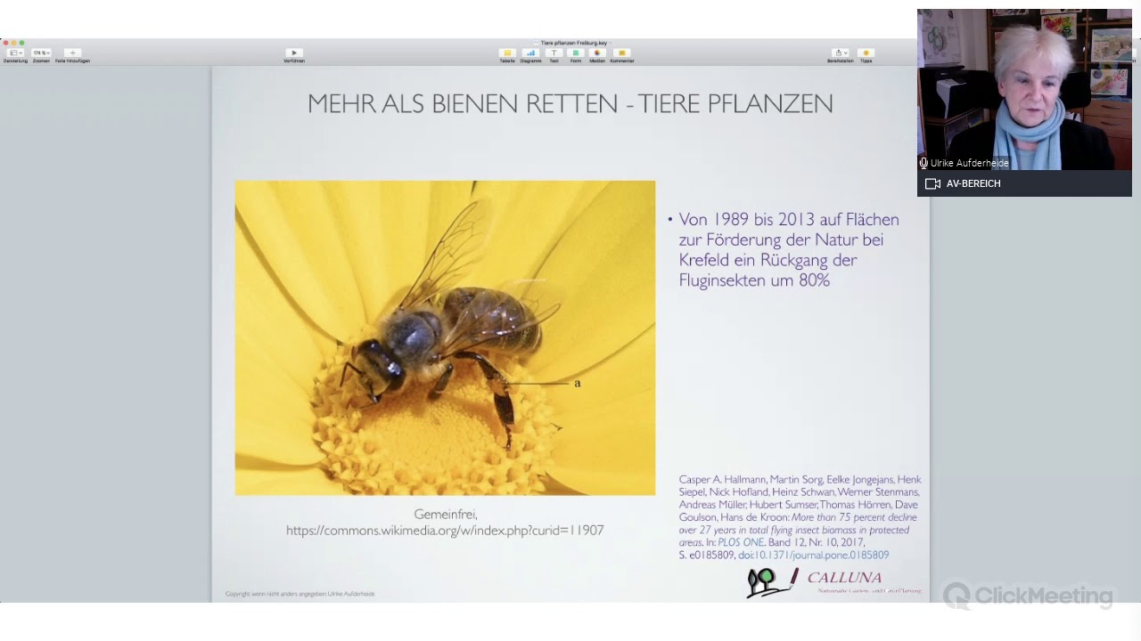 Vortrag Tiere pflanzen mit Ulrike Aufderheide 21.11.2020
