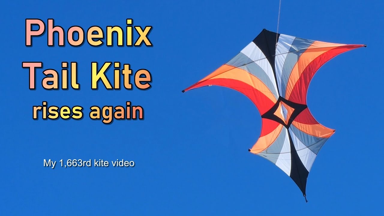 Phoenix Tail kite rises again