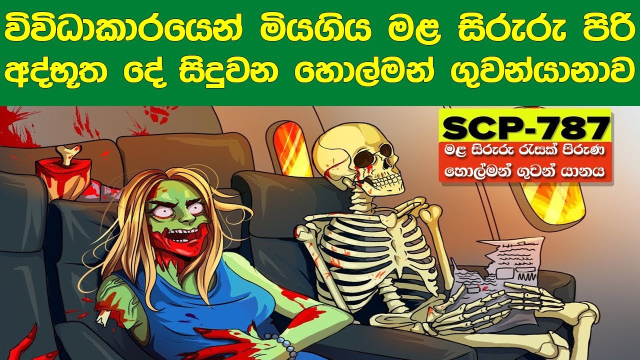 විවිධාකාර ලෙස මියගිය මළ සිරුරු පිරි අද්භූත දේවල් සිදුවන හොල්මන් ගුවන්යානාව | SCP-787 | Ghost Plane