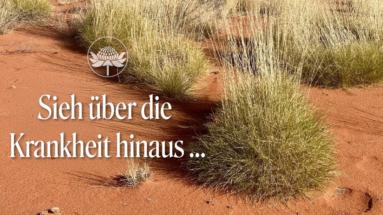 Sieh über die Krankheit hinaus | Spinifex