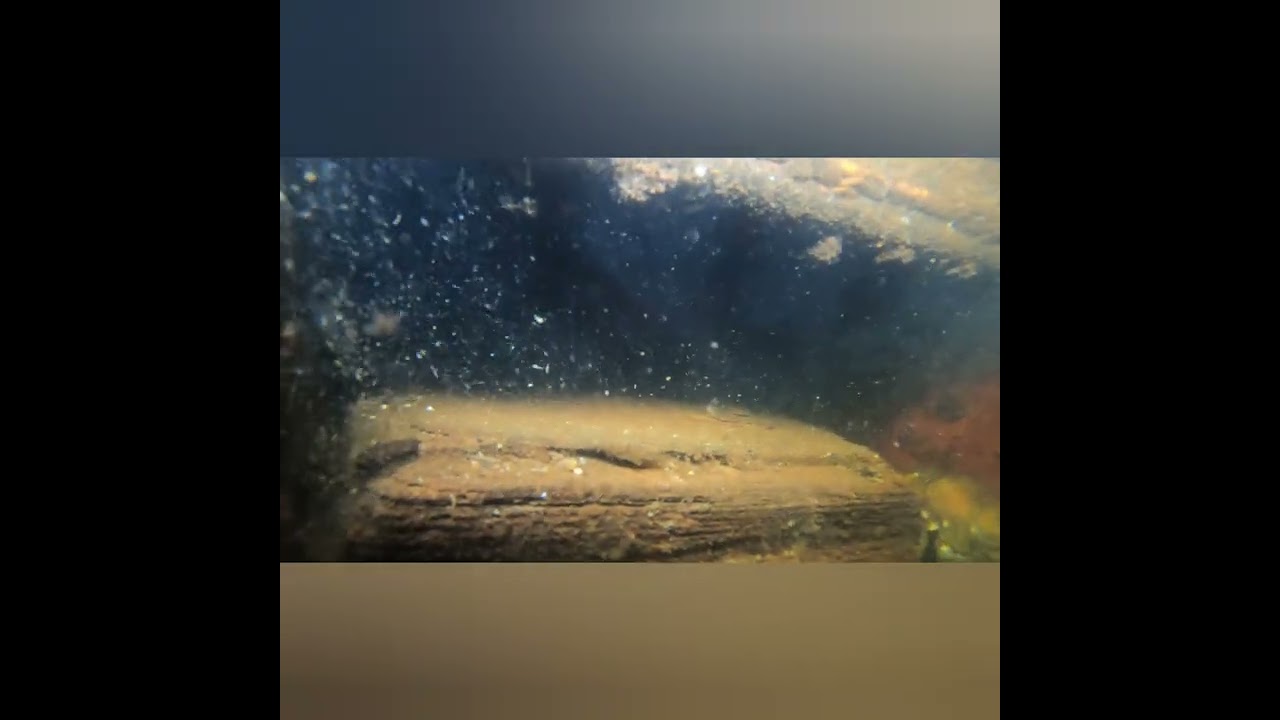 Den otroliga historien om det stulna kassaskåpet. 