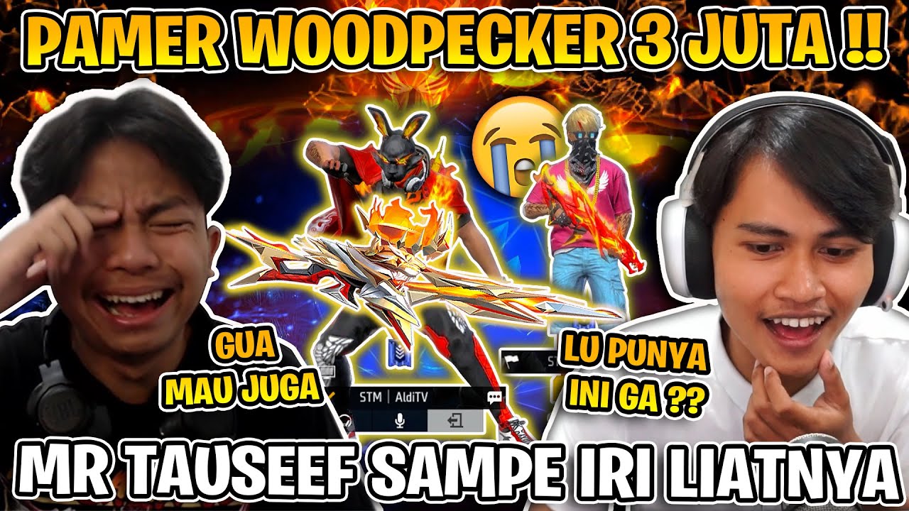 MR TAUSEEF IRI LIAT ALDI TV PUNYA WOODPECKER 2 JUTA !! DIA SAMPE MAU JUGA !!