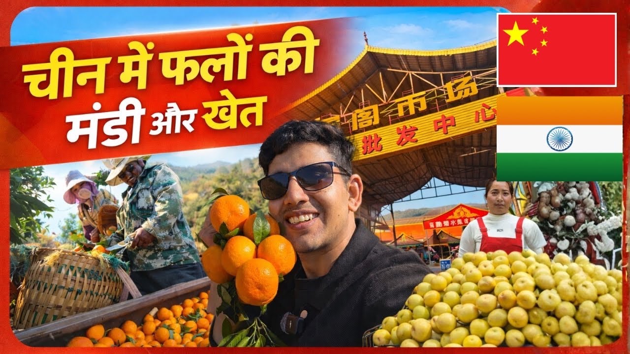 China Fruits Market and orange farming China Niranjan