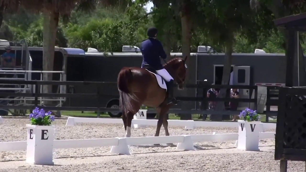 Donzer and Tara PSG 2018 Day 1