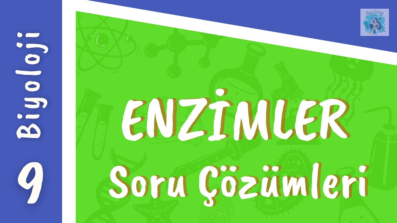 Biyoloji 9.Sınıf | Organik Bileşikler - Enzimler Soru Çözümleri