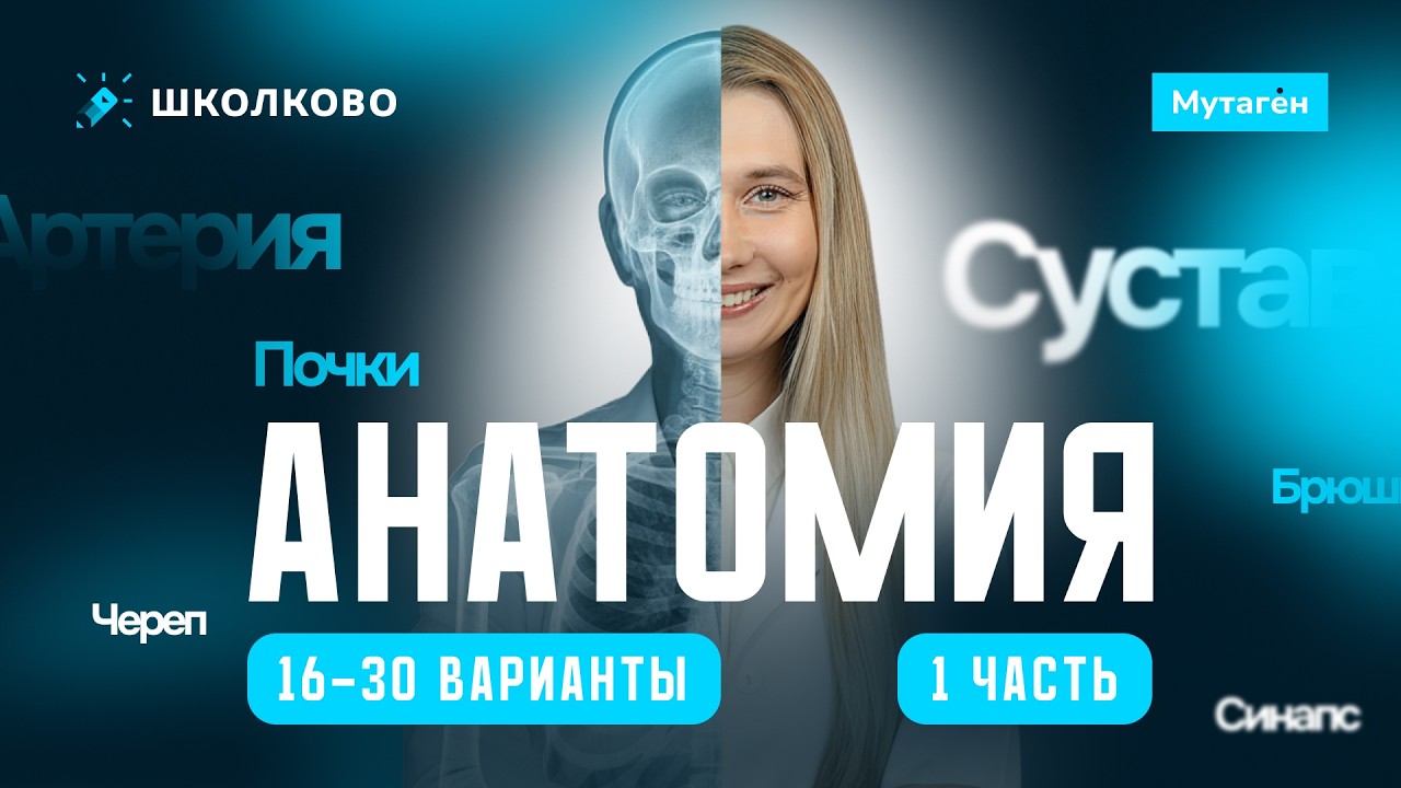 Разбор заданий анатомия 1 часть (16-30 вариант) | Подготовка к ЕГЭ - 2026 по Биологии