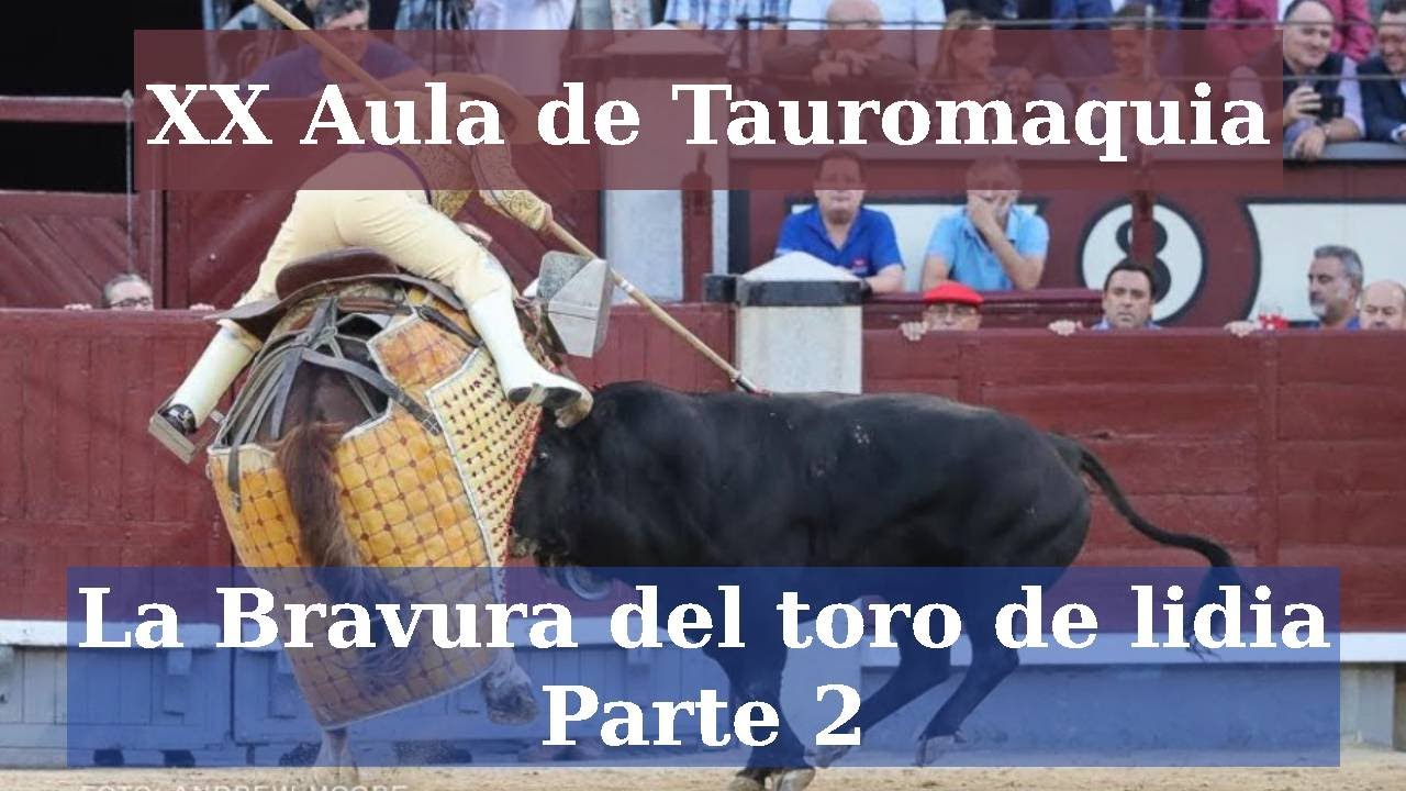 La bravura del toro de lidia. Parte 2 | XX Aula de Tauromaquia