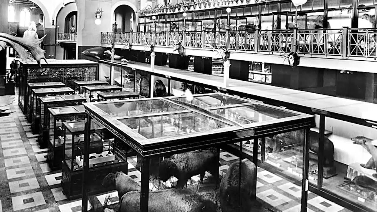 Skin & Bones - Meet the Scientist: William Temple Hornaday