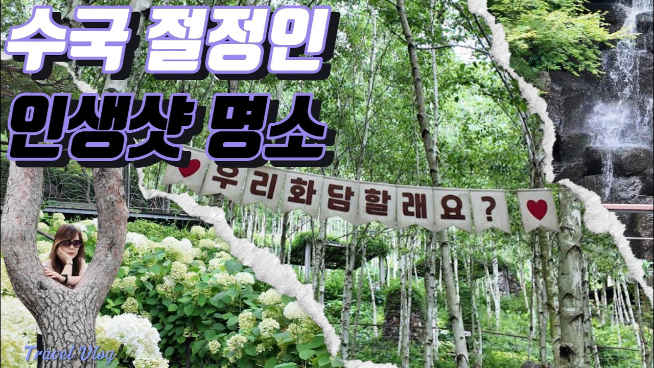 Travel🧳인생샷📸 명소 화담숲ㅣ곤지암 힐링 수목원🌳ㅣ곤지암 맛집 소개ㅣFeat. Healing forest view