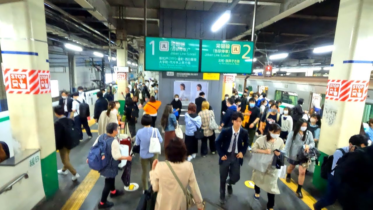 【夕方ラッシュ】柏駅構内を散策！JR常磐線　千葉県柏市
