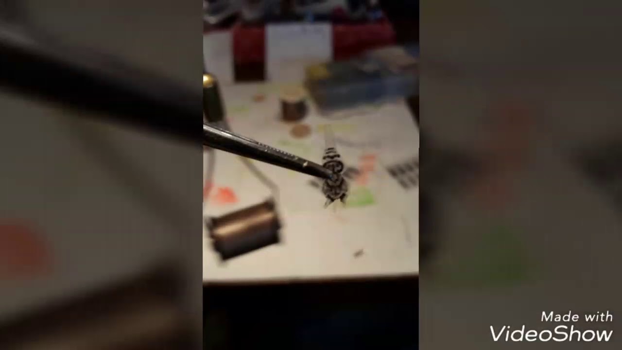 Stonefly nymph  realistic body flytying