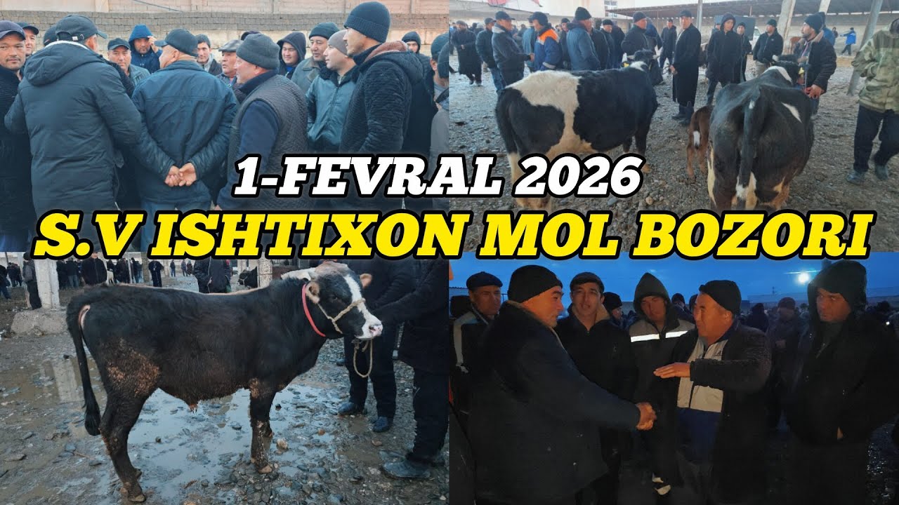 1-FEVRAL 2026 SAMARQAND ISHTIXON MOL BOZORI 